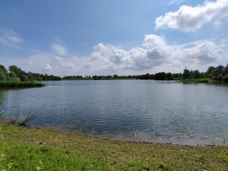 Immagine per l'elemento progettualità