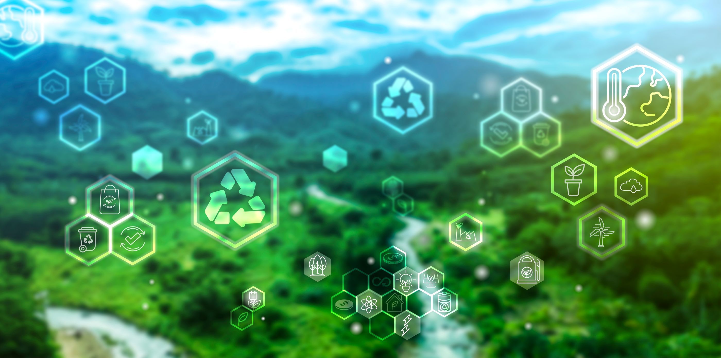 Immagine del carousel