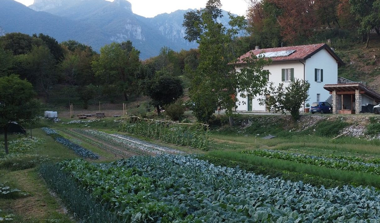 Immagine per l'elemento progettualità